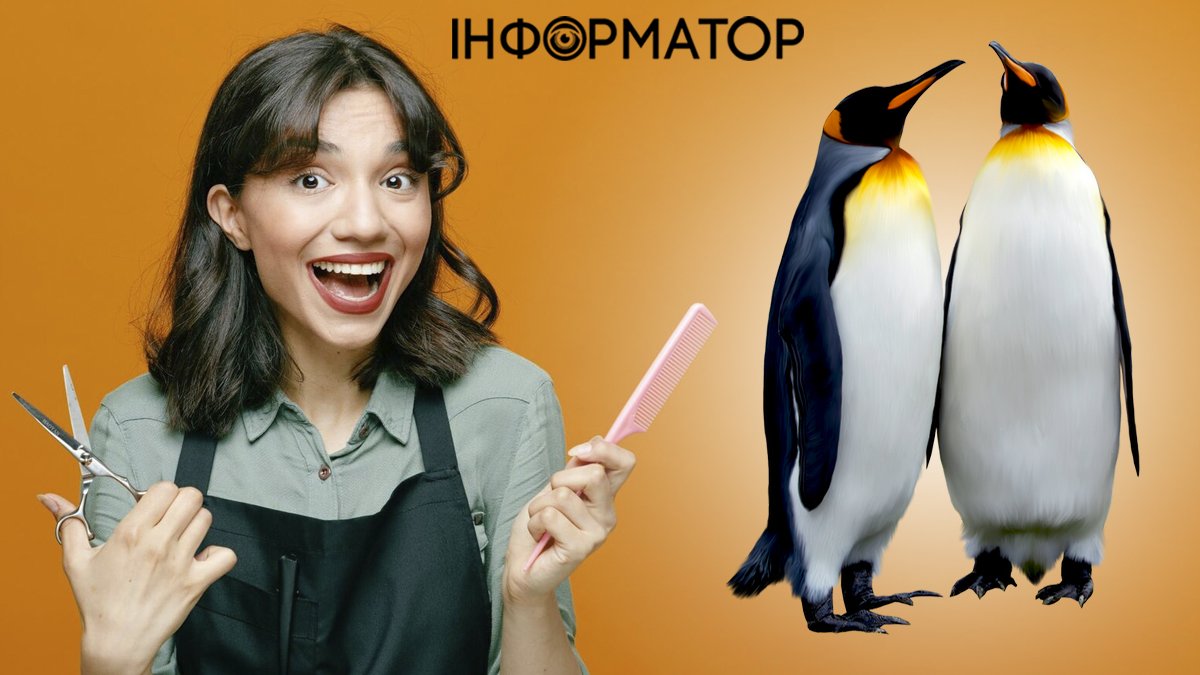 Яке сьогодні, 25 квітня, свято: Всесвітній день пінгвінів та День перукаря