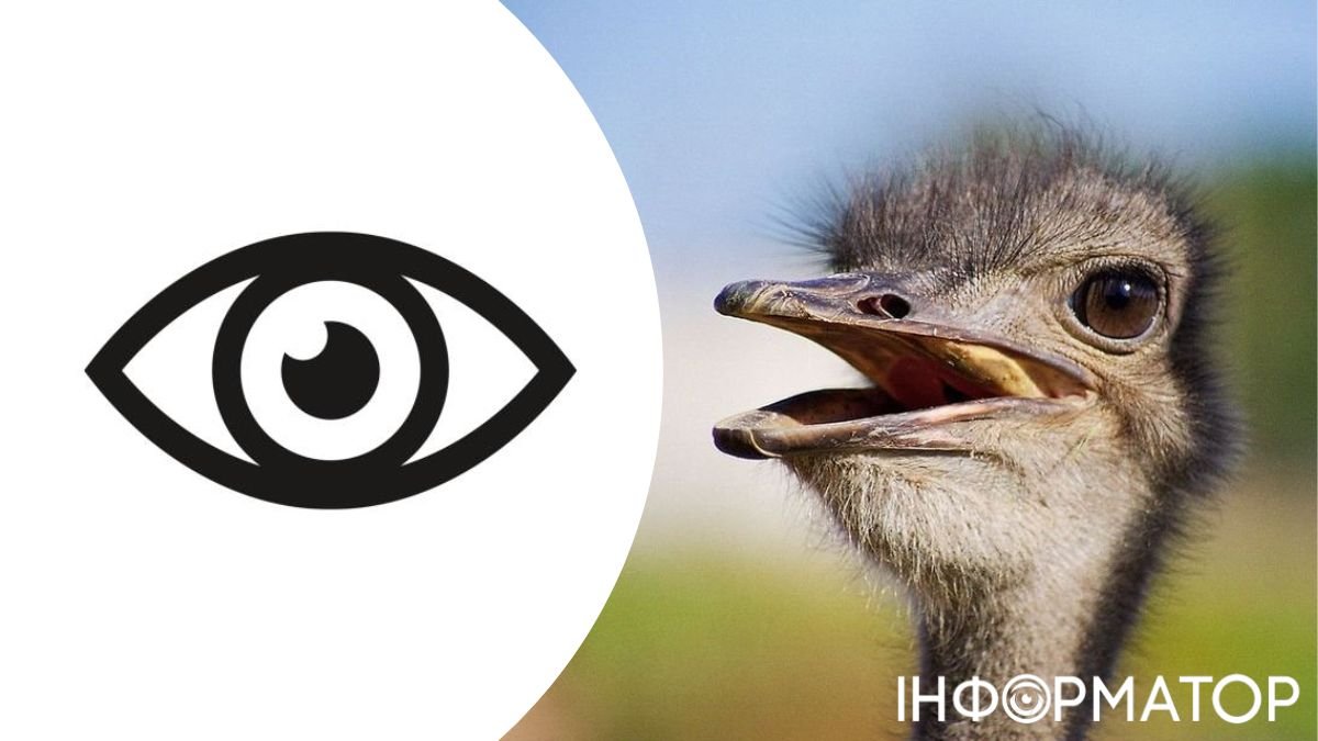 Глаз и страус
