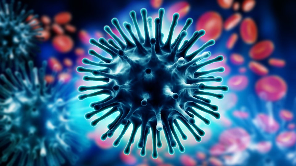 Вакцини змушують нашу імунну систему розпізнавати білки на поверхні вірусу.