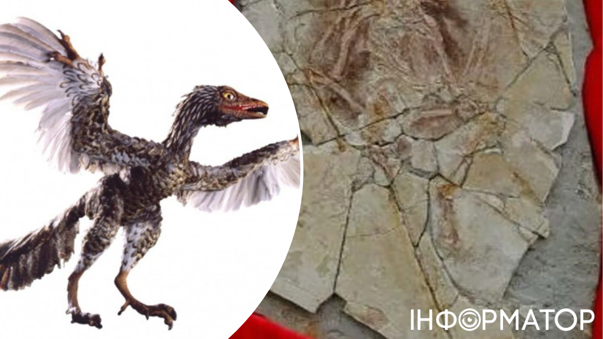 Прокол National Geographic: уникальный монстр эпохи динозавров оказался обманом