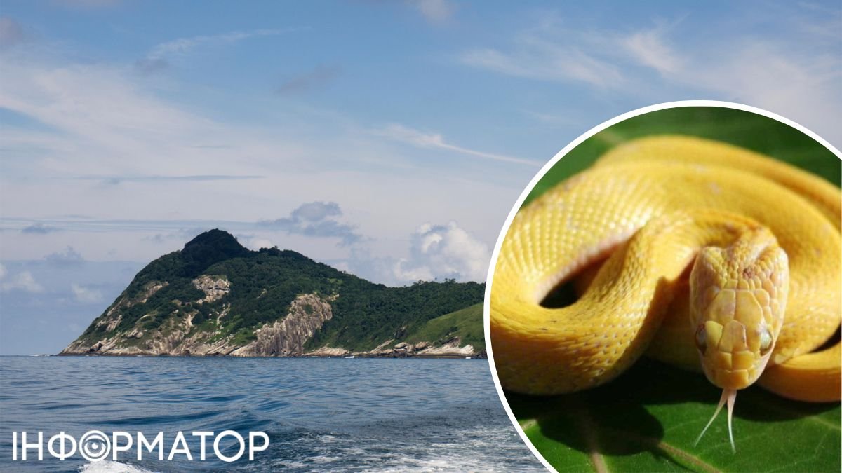 Змії, полоз, острів, океан, Бразилія, браконьєри, охорона природи
