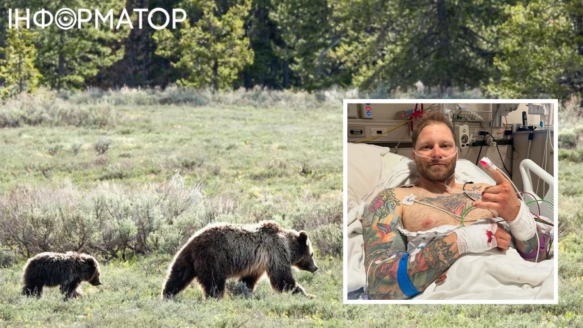 Медведь, медвежонок, нападение, гризли, США, парк