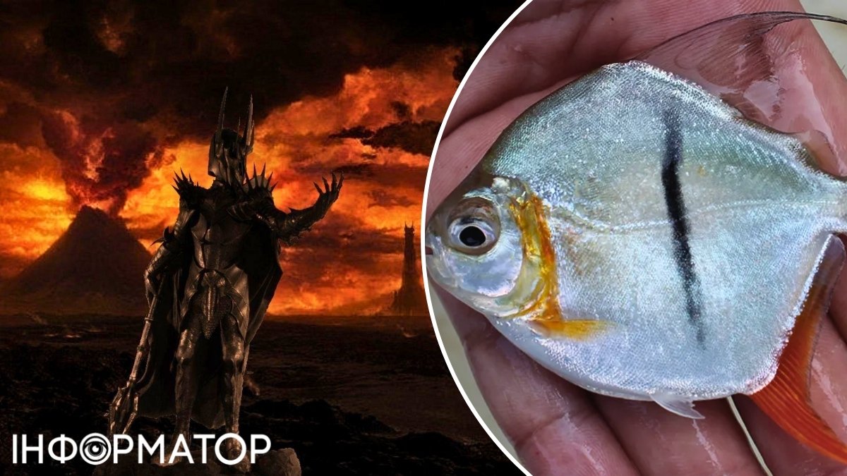Темный владыка Саурон и рыба