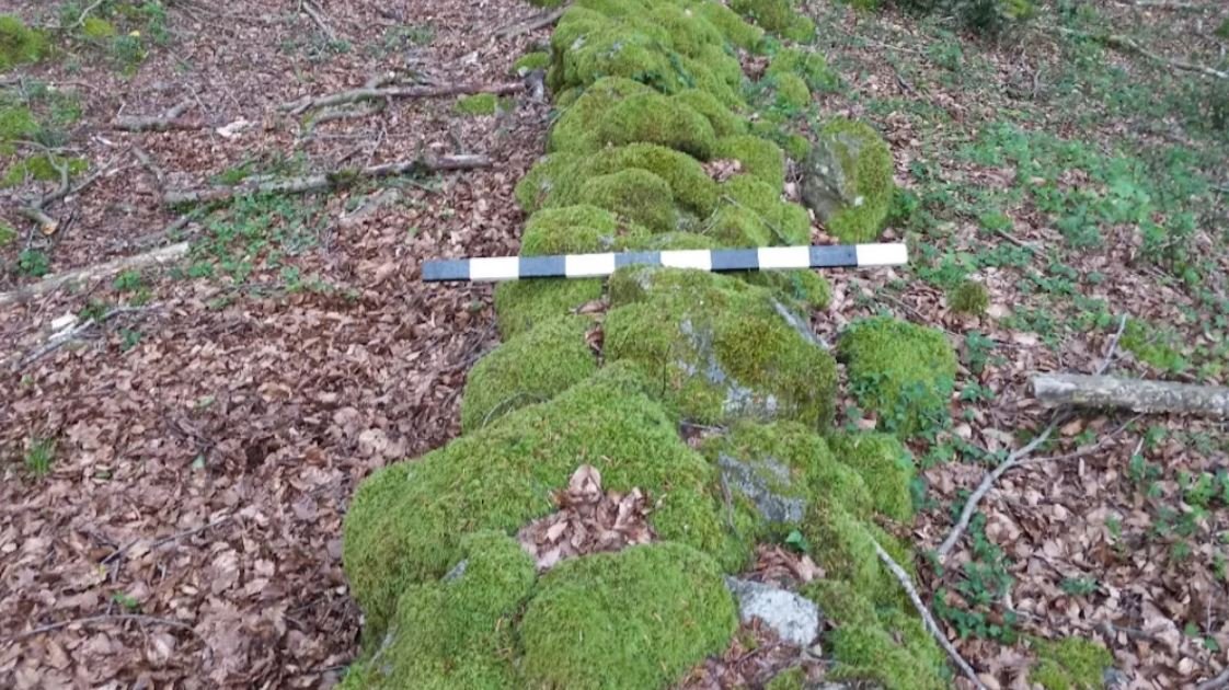 ВІргоіно, стіну побудували з міркувань безпеки.