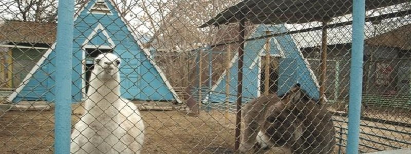 Днепропетровский зоопарк: куда уходят деньги?