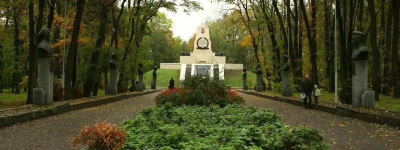 В Севастопольском парке собираются срубить 120  деревьев