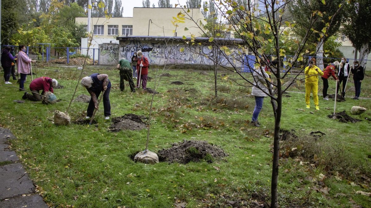 Днепр-цветущий: на жилых массивах Покровский и Красный камень высадили 70 молодых деревьев