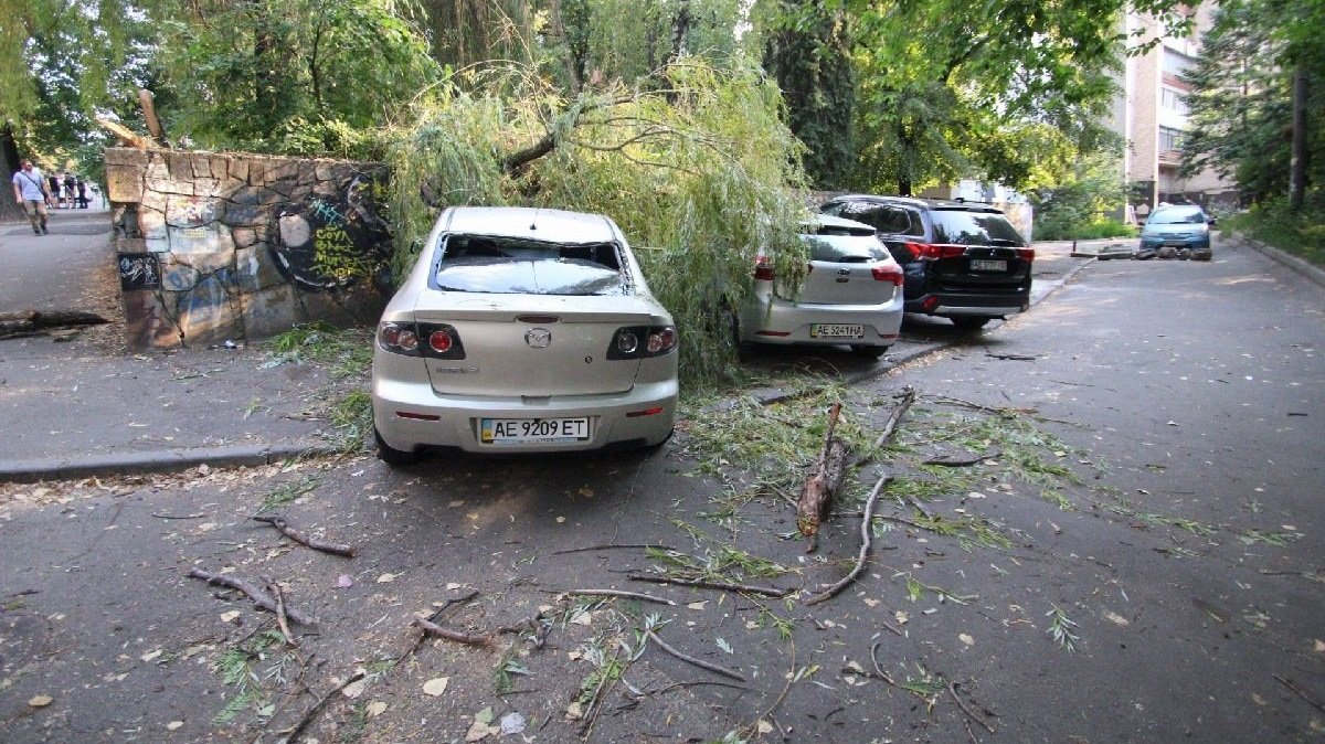 Дерево упало на автомобиль, кто должен компенсировать убытки: ответ адвоката