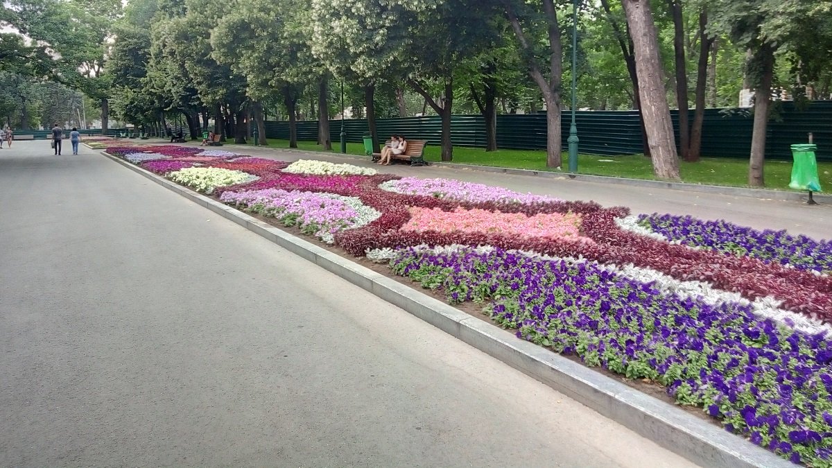 Больше 80 тысяч: какие цветы высадят в парке Горького в Харькове в 2021 году