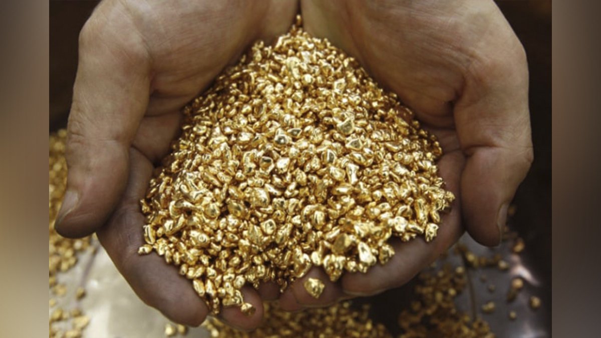 Где в Днепропетровской области турецкие бизнесмены будут добывать золото и что о них известно