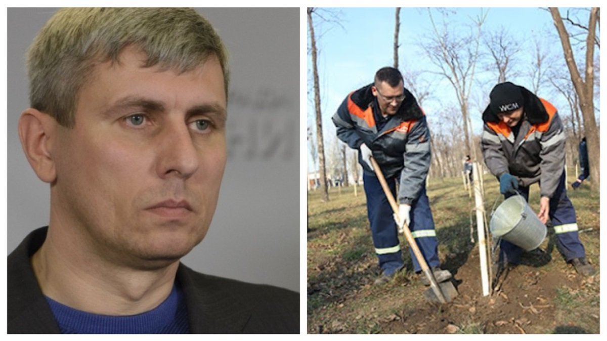 В Кривом Роге 1,6 млн грн на озеленение города уйдут фирме, близкой к депутату Гальченко