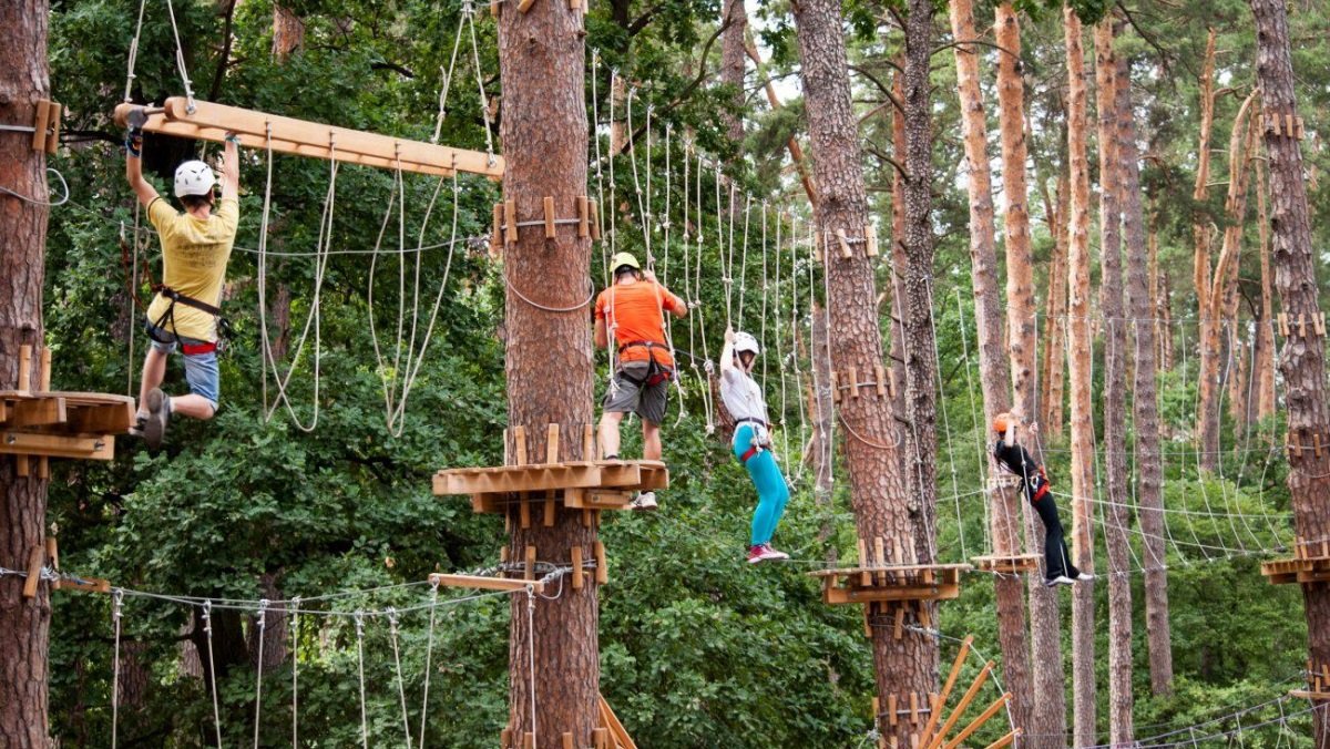 Где в Кривом Роге построят веревочный парк за 200 тысяч гривен