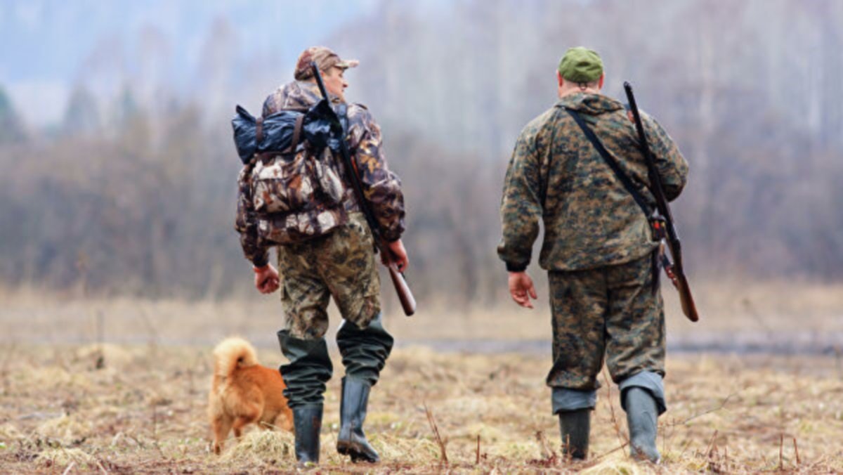 Законная охота в Украине: какие документы нужны и штрафы за их отсутствие