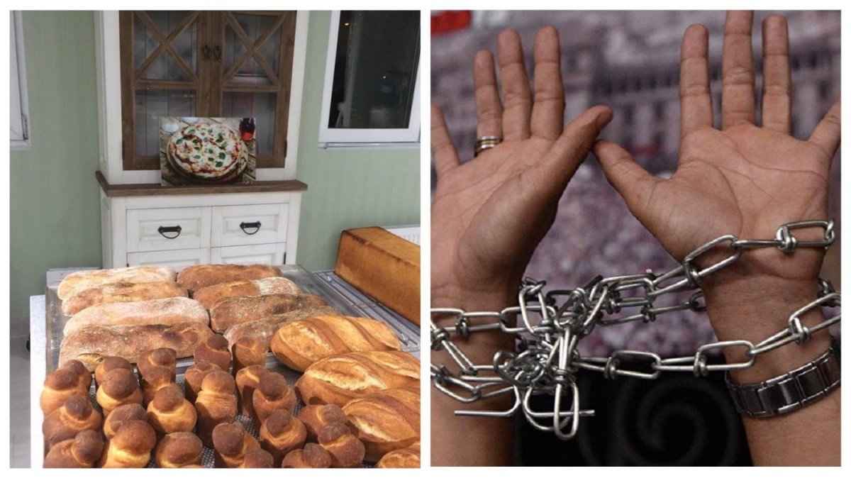 В Киеве хлеб для школ за 4 млн власти купили у подозреваемых в использовании рабского труда