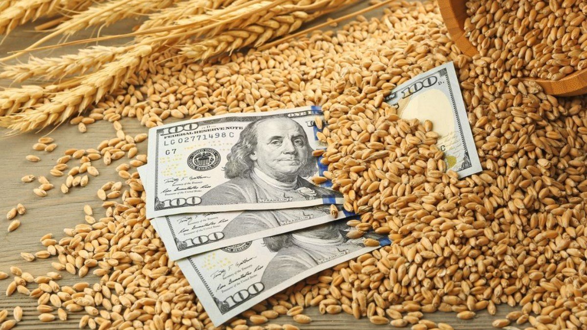 Дефолт государственной зерновой корпорации: за что Украина заплатит Китаю 2,5 миллиарда гривен