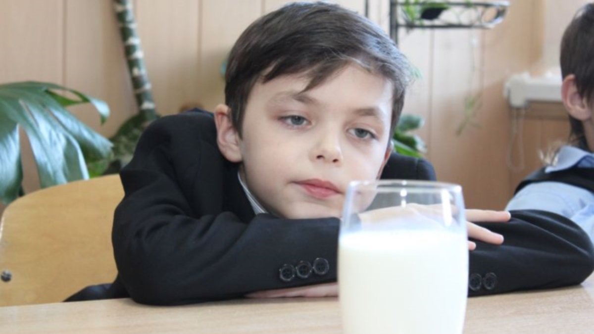 14 миллионов за молочку из бюджета Киева: чья фирма освоит деньги на питании детей