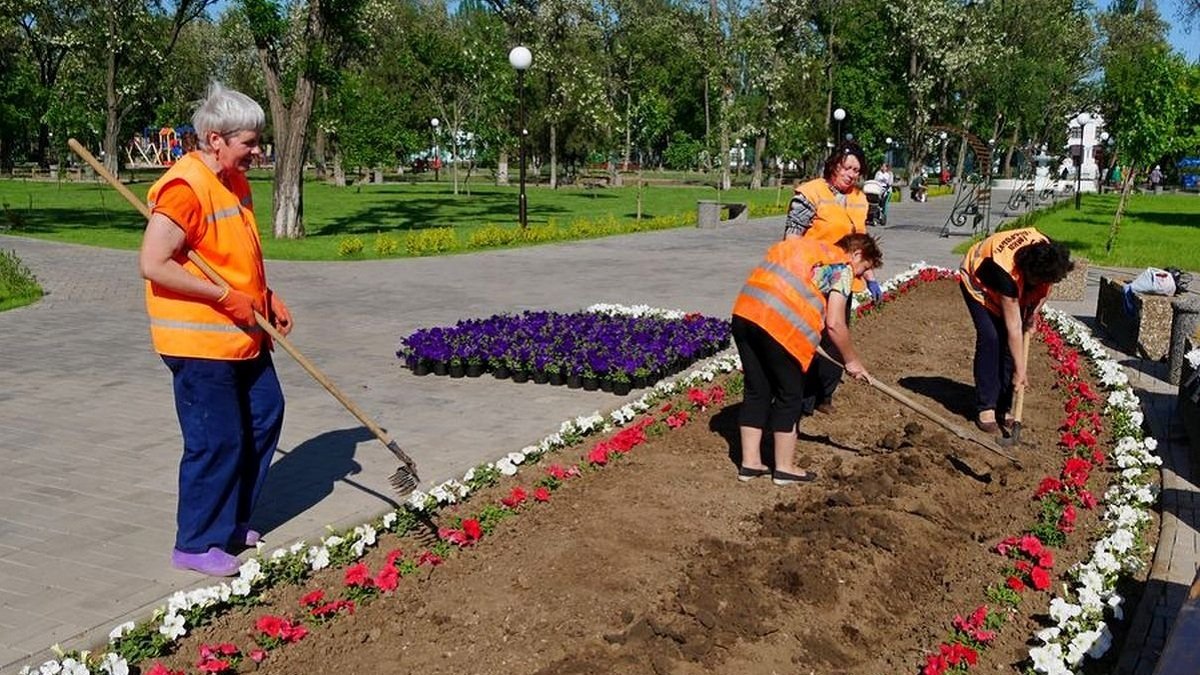 На озеленение Покрова потратят полмиллиона гривен: какие цветы высадят