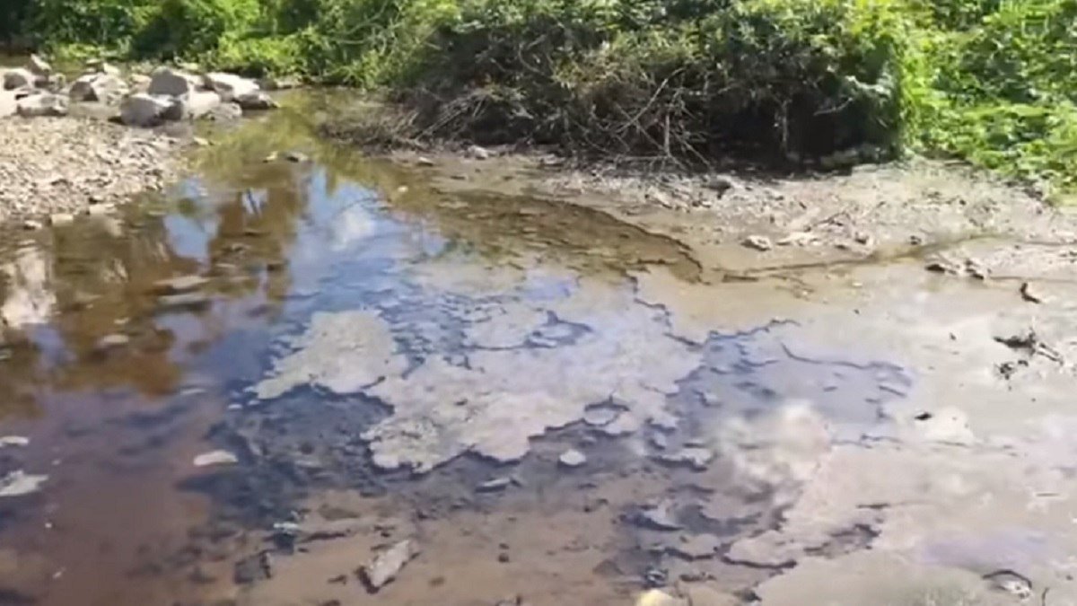 Хто забруднює річку Рось на Київщині та до чого тут екс-нардеп Полочанінов