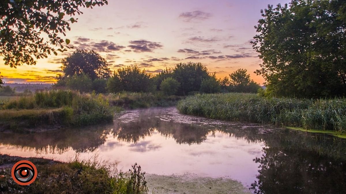 Врятувати річку Ірпінь: на Київщині створюють новий природний заказник