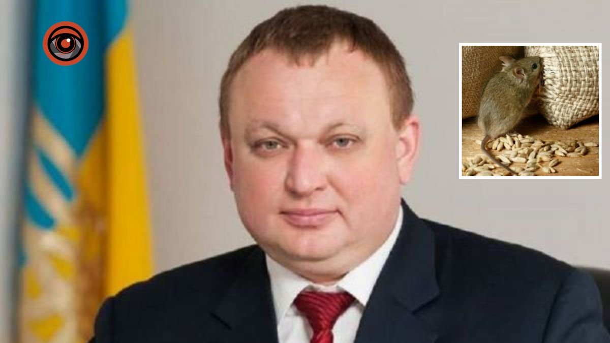 60 мільйонів доларів збитків: суд у Києві заарештував екс-голову Державної зернової корпорації