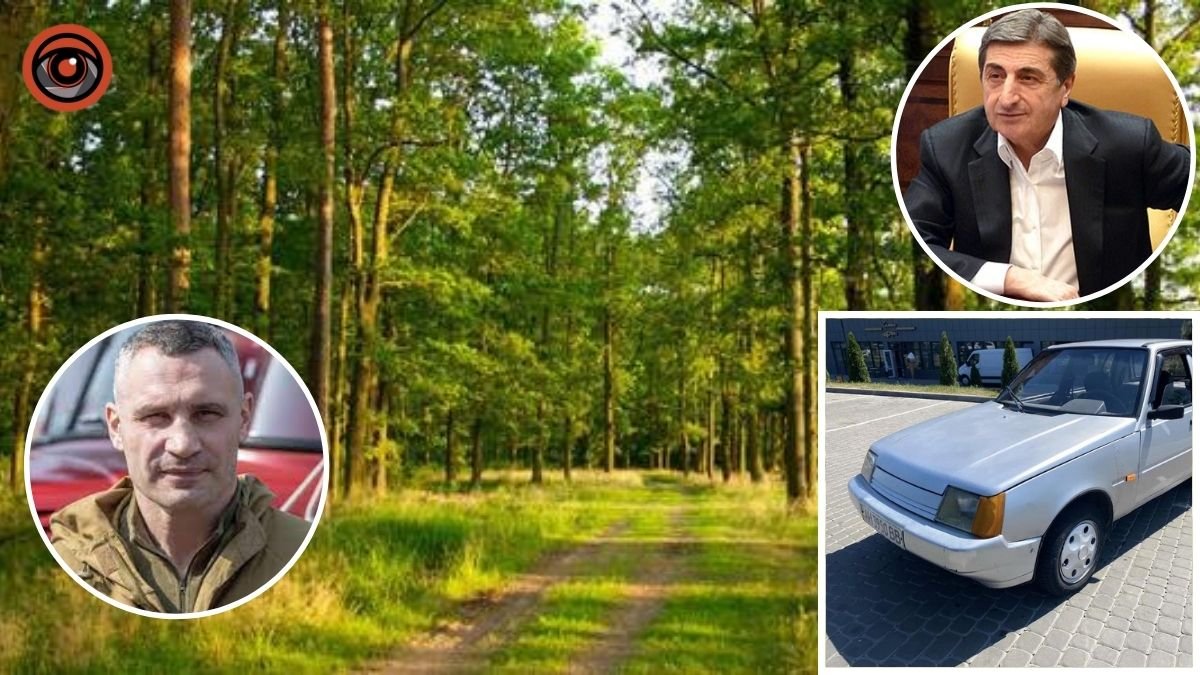 Які автомобілі купили на 3,3 млн грн для київських лісників у власника ЗАЗ Васадзе