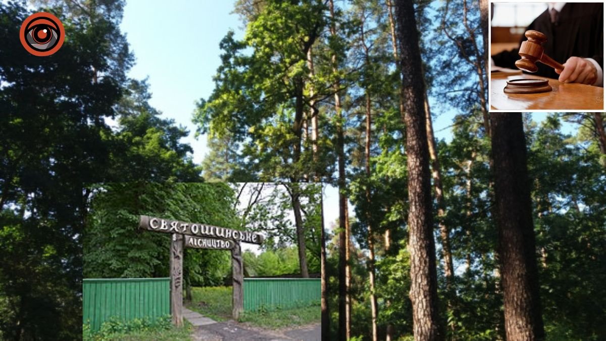 Прокуратура Київщини повернула ліс під Бучею на 2,3 млрд грн: хто міг ним володіти