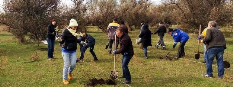 На берегу Шиянки работники Приднепровской ТЭС высадят деревья