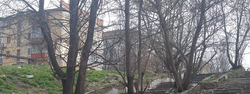 В этом году заброшенные парки Днепра ждет возрождение