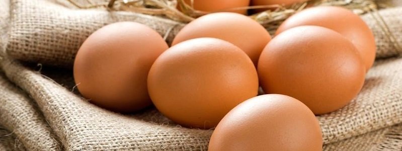 На рынке куриных яиц может быть картельный сговор производителей