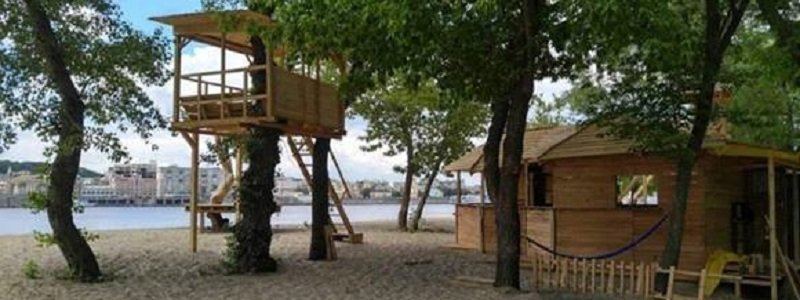 Как разорить «Скворечник» или аренда деревьев Киева