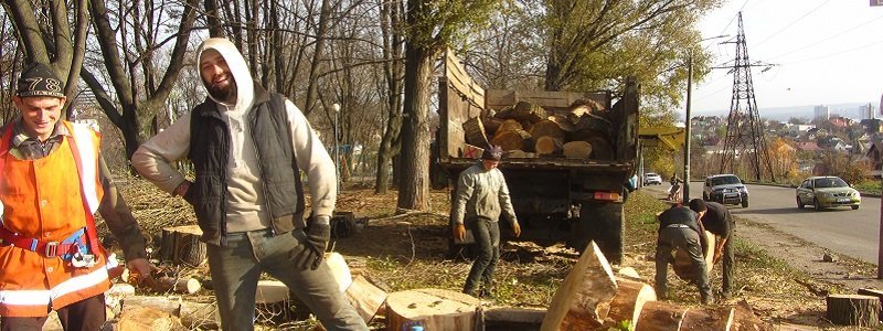 В Днепре вырубят деревья из-за строительства нового жилья и метро