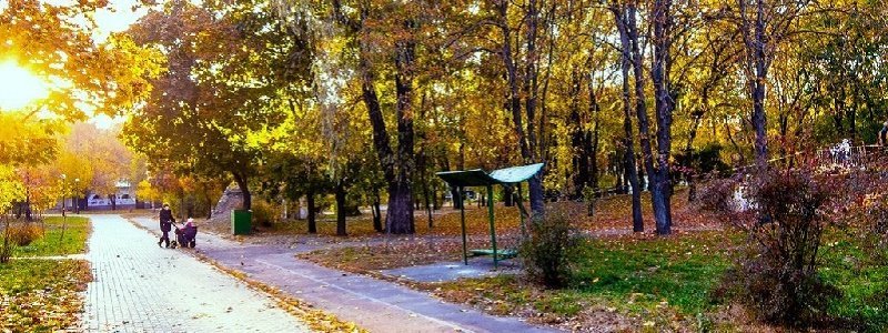 Что сделают в Куреневском парке Киева за 17,8 миллионов гривен
