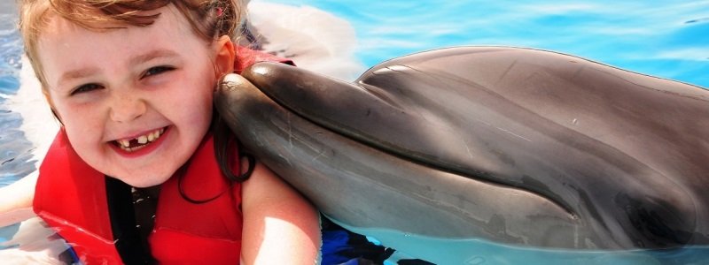 В Киеве из бюджета готовы потратить 12 миллионов на плавание детей с дельфинами