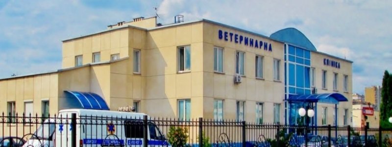 Какие нарушения выявил аудит больницы ветеринарной медицины в Киеве