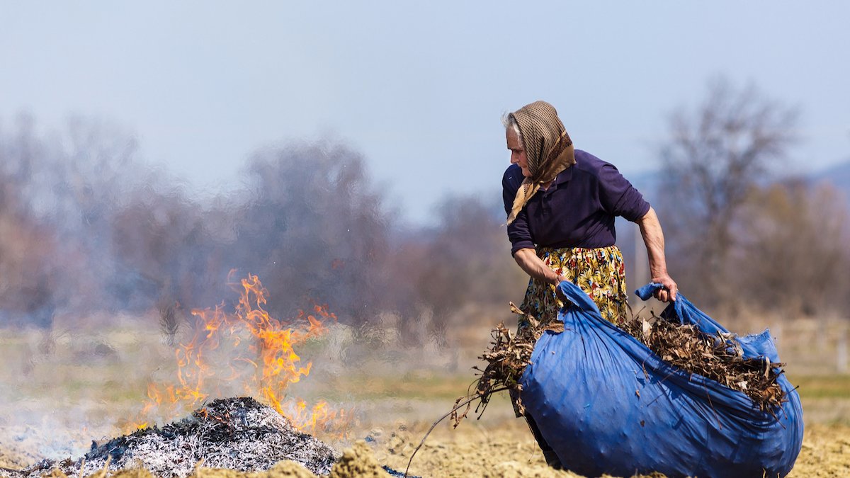 В Днепре эколог рассказал, как сжигание листьев вредит природе и здоровью людей