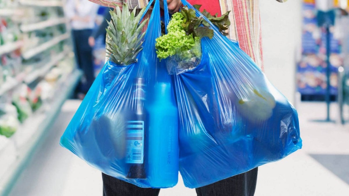 Верховная Рада поддержала за основу запрет пластиковых пакетов в Украине