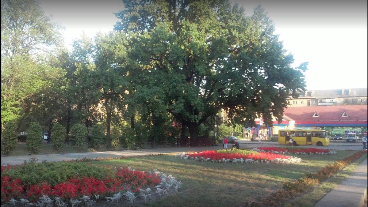 Какие парки и скверы отремонтируют в Киеве за 30,4 миллиона гривен