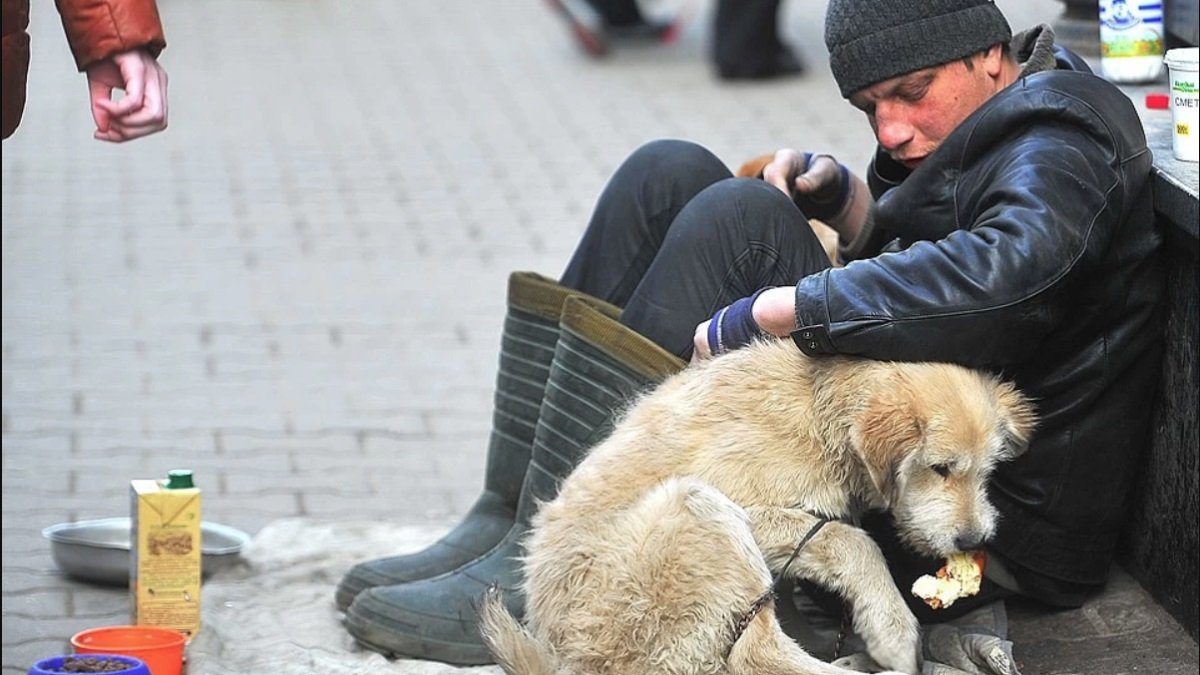 В Киеве хотят запретить использовать животных для попрошайничества на улицах