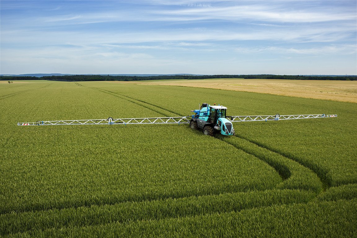 Европа будет просить больше пшеницы и рапса