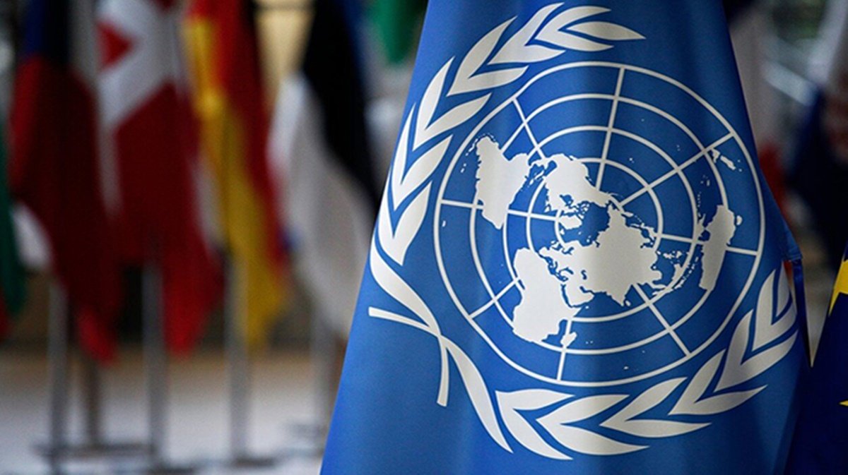 Украина вошла в состав исполнительного совета ООН-женщины