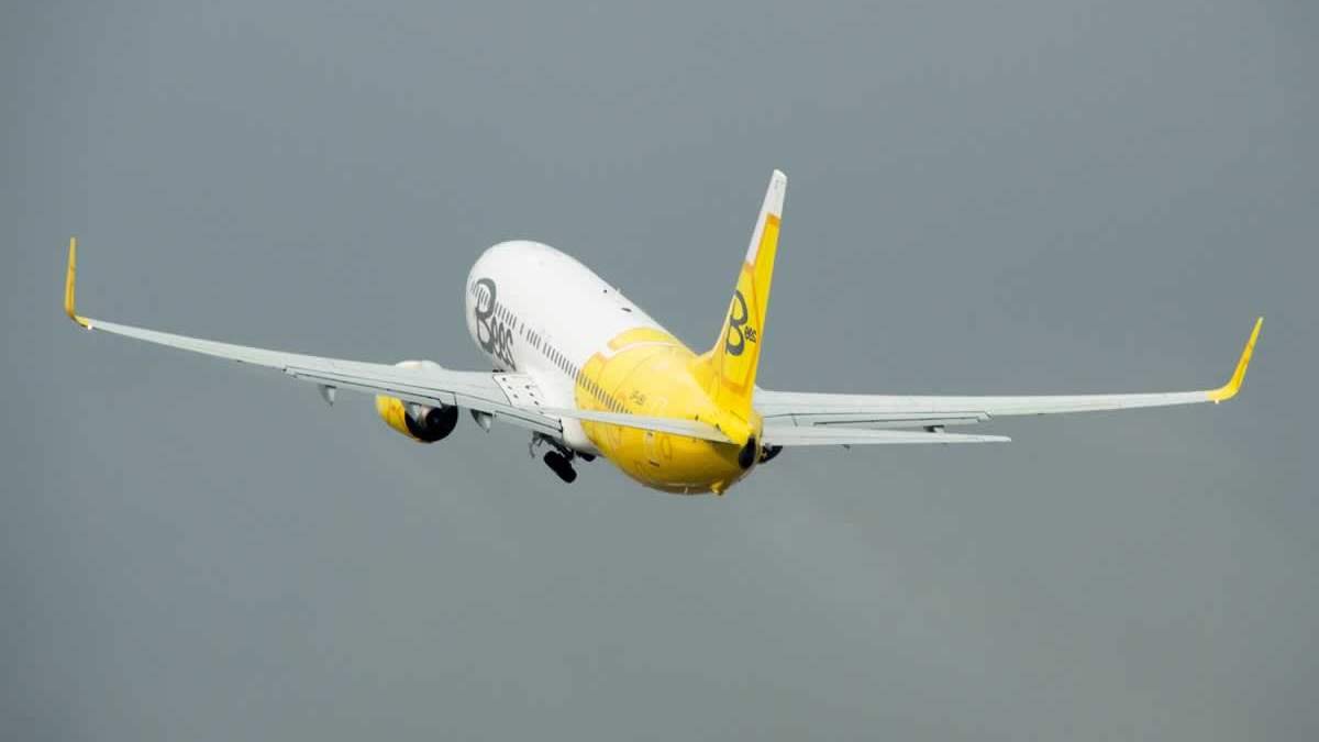 Лоукостер Bees Airline планирует запустить внутренние рейсы по Украине