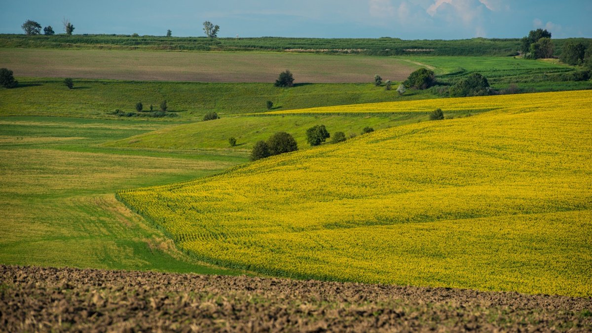 Земельная децентрализация в Украине: Рада одобрила законопроект