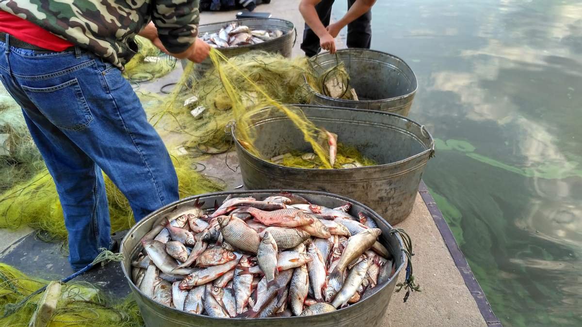 В Полтавской области рыбак-браконьер избил журналиста