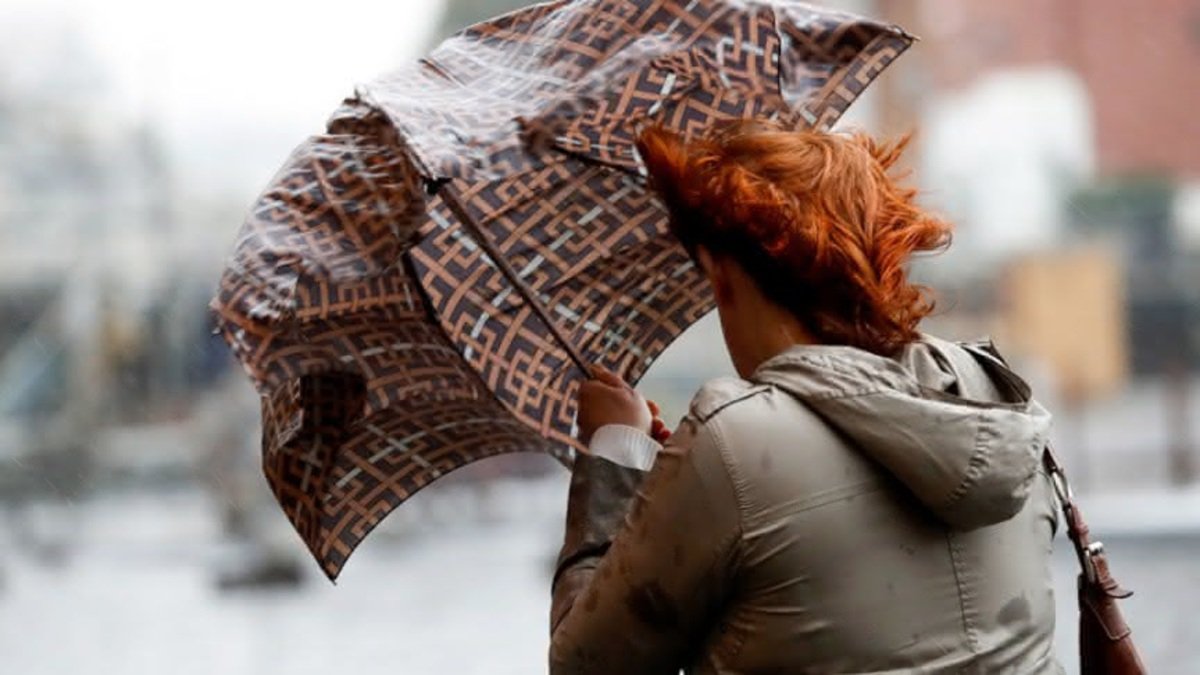 Синоптики попередили про штормовий вітер в Україні