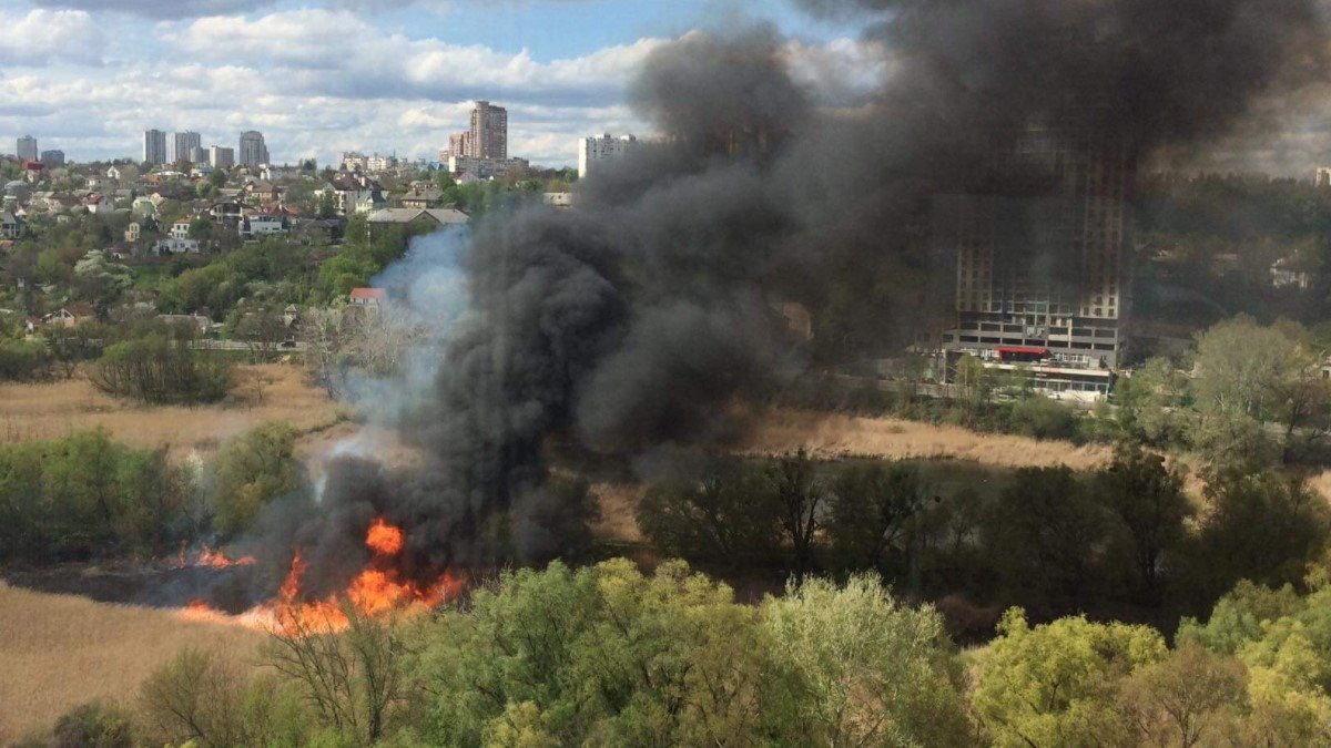 В Киеве горит экопарк «Совские пруды»