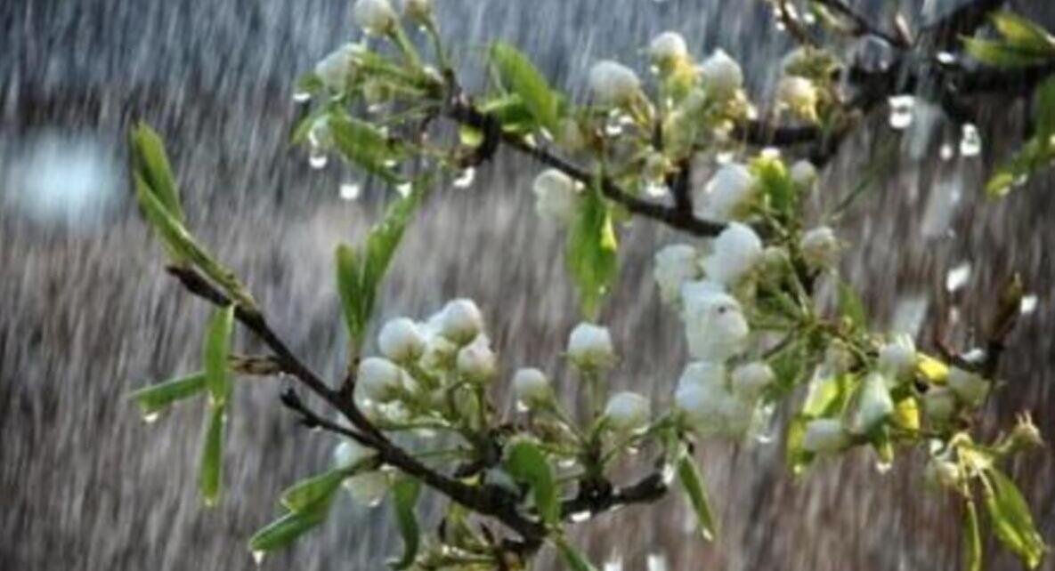 Дощі не відступають: погода в Україні на 7 травня