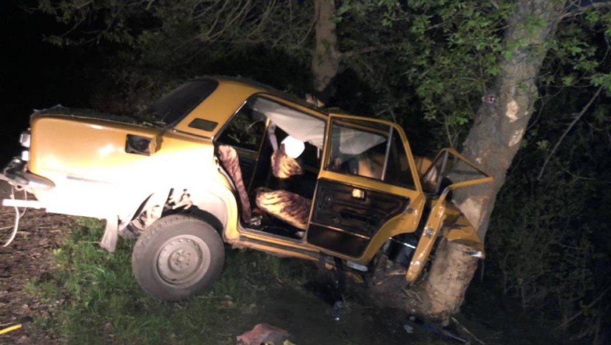 В Житомирской области авто вылетело с дороги и протаранило дерево: есть жертвы