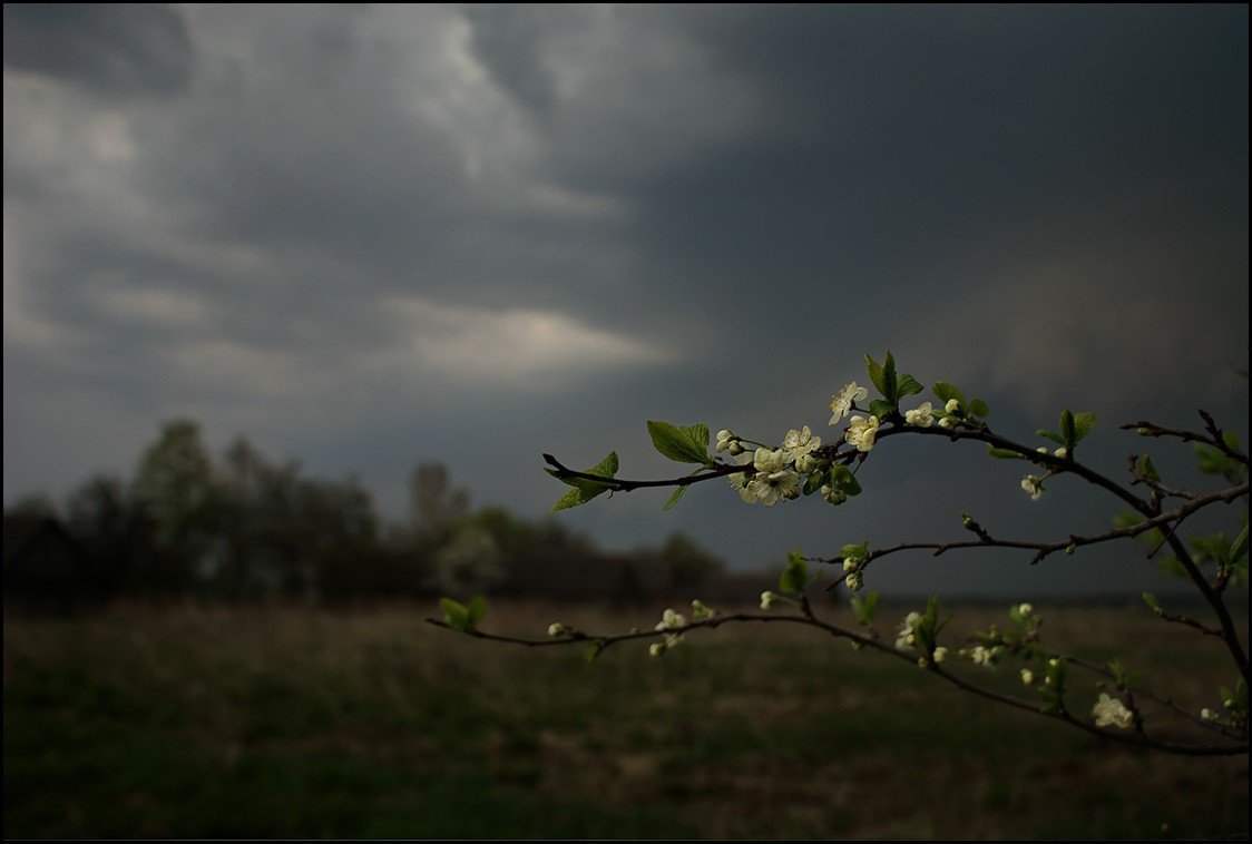 В Україну йде потепління: погода на 14 травня