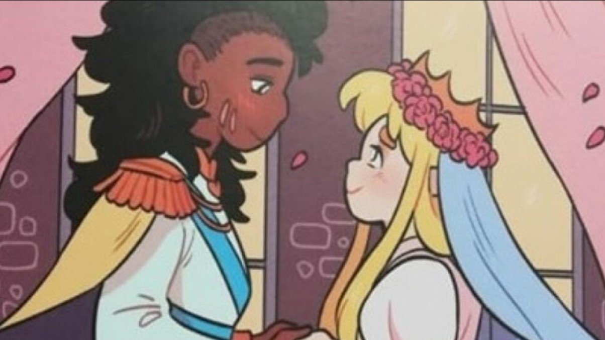 В Чернигове потребовали изъять детские  книги об ЛГБТ-отношениях «Принцесса + Принцесса» из-за «подрыва общественной морали»