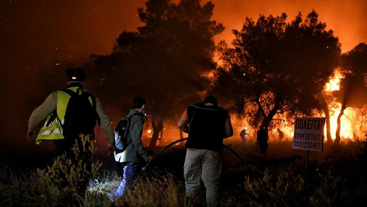 У Греції відбулися масштабні лісові пожежі